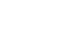 Daiichi Sankyo Logo